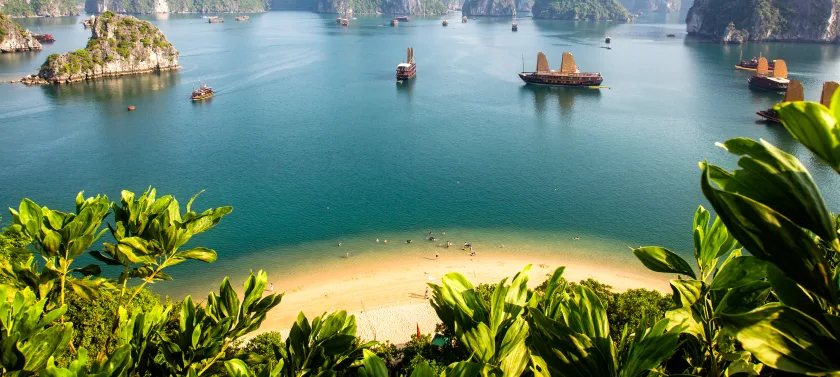 Day 5-7 Halong Bay- Orchid Trendy Cruise